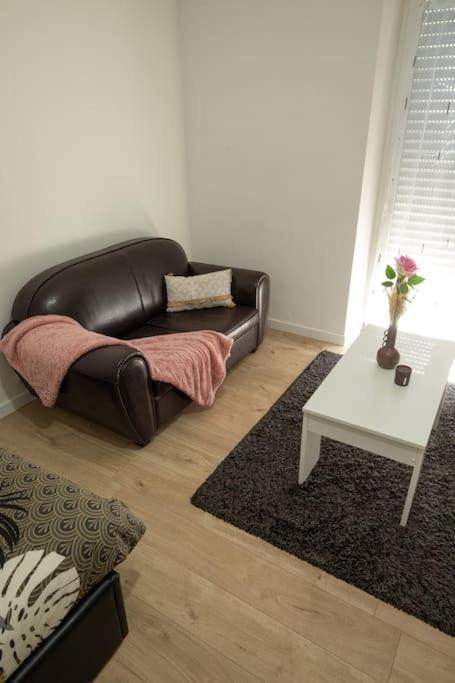 New Appartement Proche Gare Et Centre-Ville Colmar Eksteriør bilde