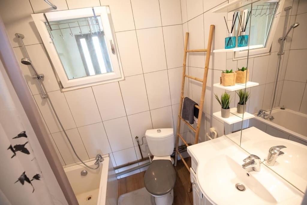 New Appartement Proche Gare Et Centre-Ville Colmar Eksteriør bilde